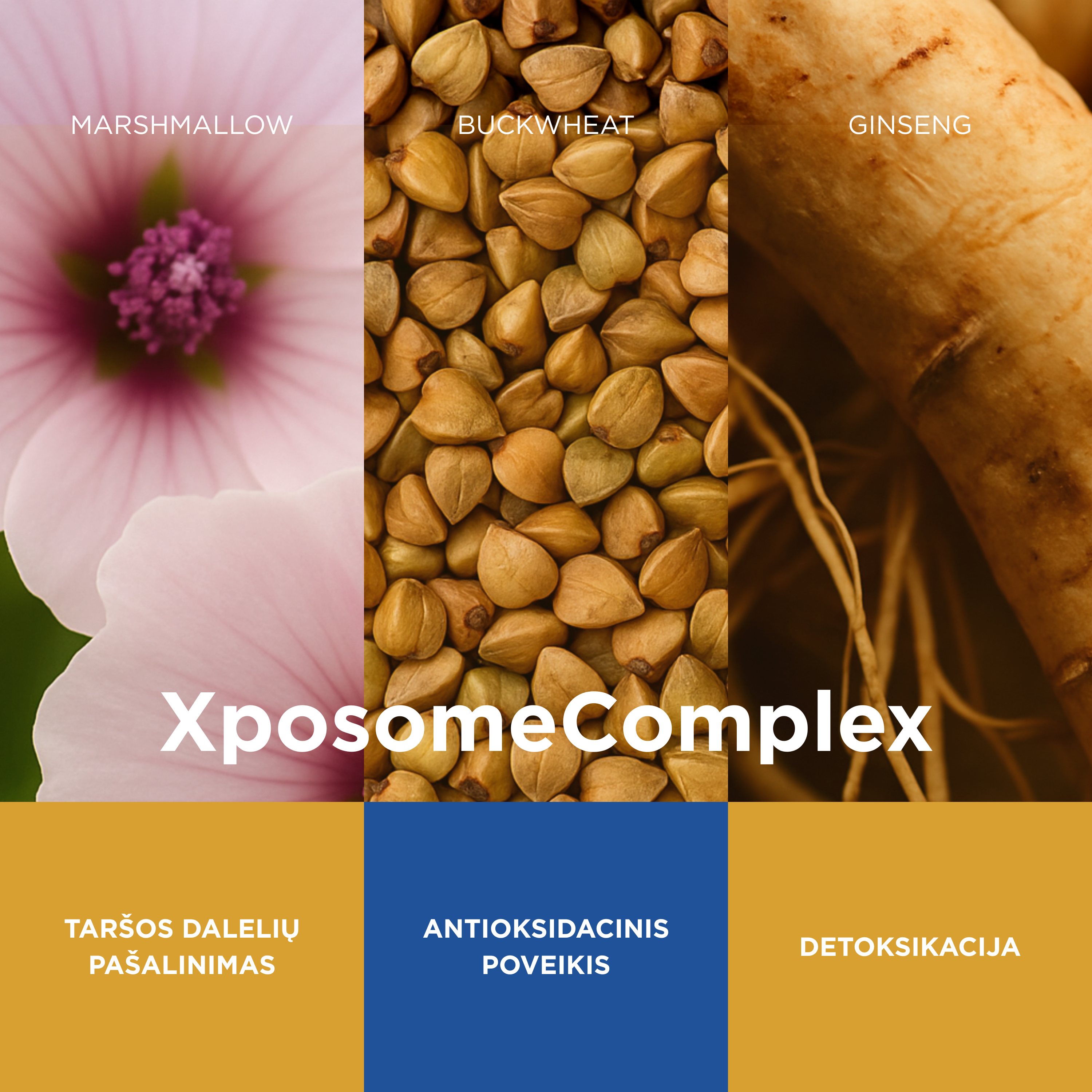 Valomasis micelinis vanduo su antioksidantais – makiažo ir taršos dalelėms pašalinti, 150 ml